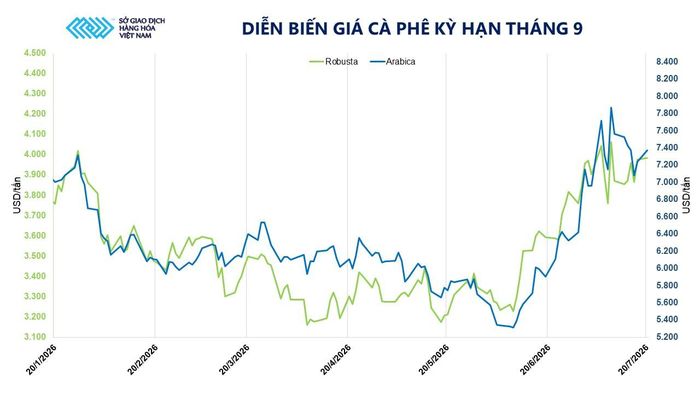 Diễn biến giá cà phê kỳ hạn tháng 9. Nguồn: MXV