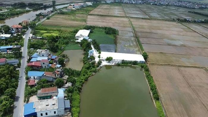 Toàn cảnh nhìn ra khu trang trại chăn nuôi ở thôn Trực Thuận, xã Quang Hưng.