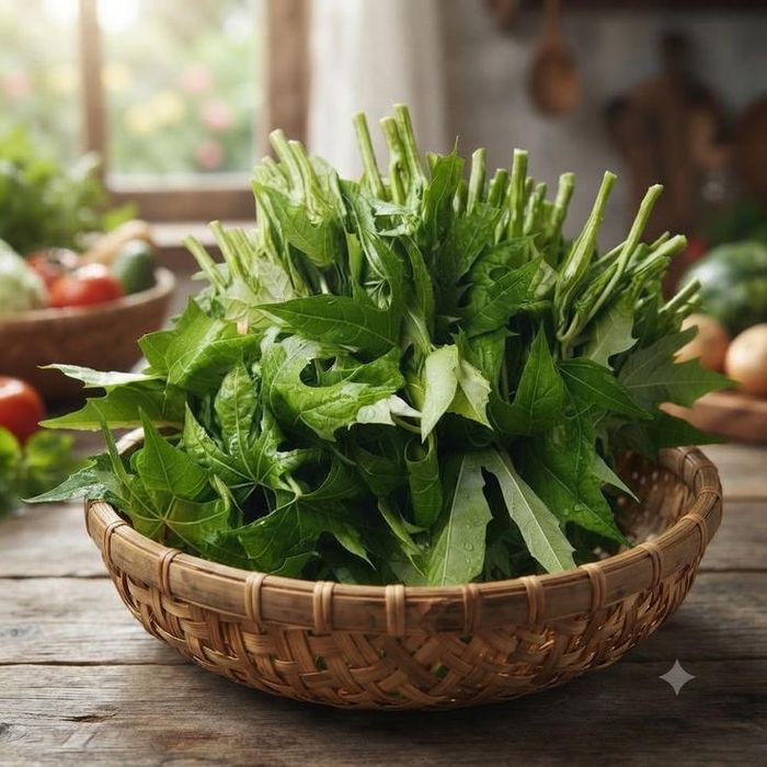 Rau mì chính giàu dinh dưỡng có lợi cho sức khỏe.