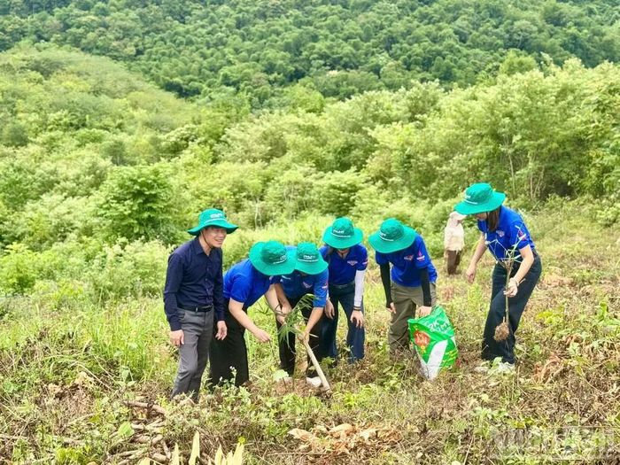Đoàn viên thanh niên Tổng công ty Phân bón và Hóa chất Dầu khí - Công ty Cổ phần đạm Phú Mỹ tham gia trồng cây cùng bà con.