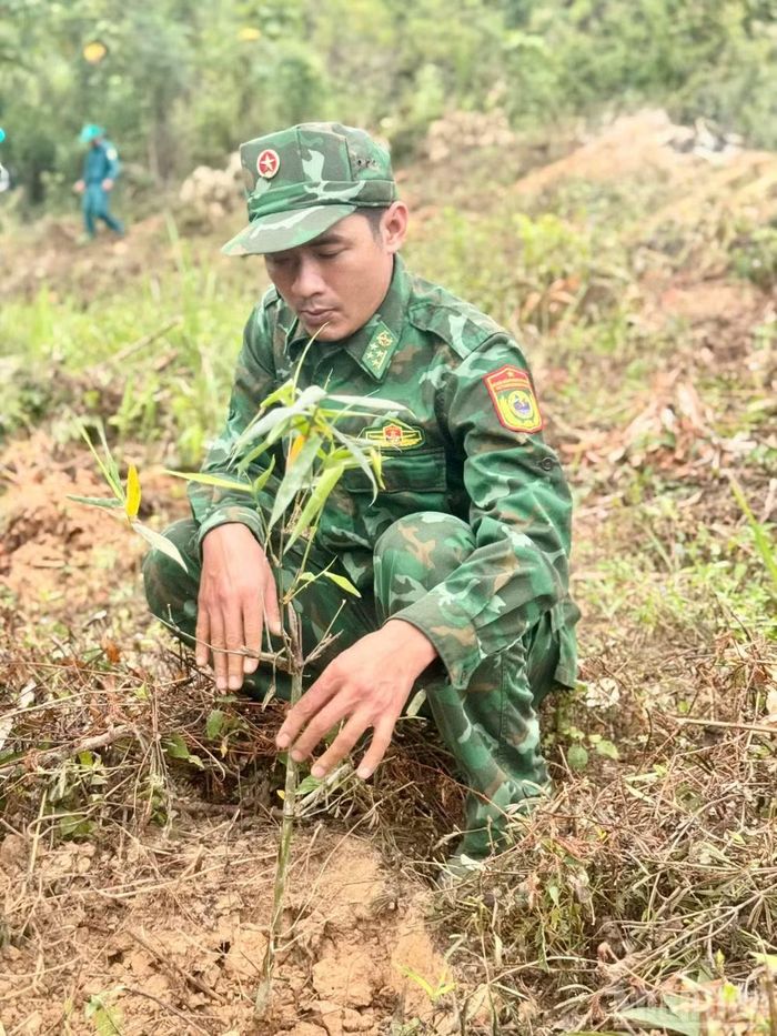 Mỗi một gốc mét, luồng được bàn giao cẩn thận cho các hộ dân trồng trên địa bàn xã Tam Thái.