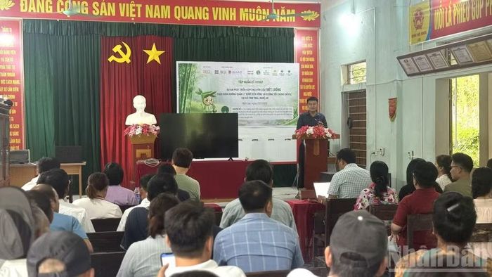 Tập huấn kỹ thuật trồng, chăm sóc và thu hoạch cây trồng cho bà con địa phương.