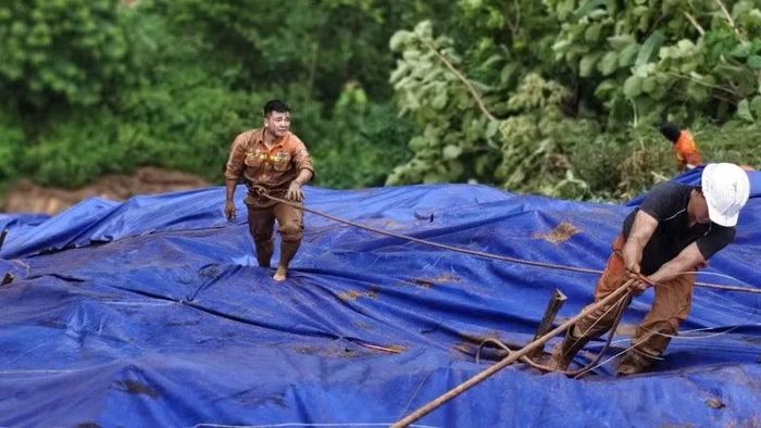 Thực hiện gia cố, xử lý những vị trí bị ảnh hưởng hoặc có dấu hiệu mất an toàn.