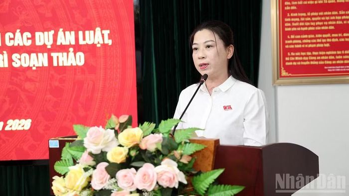 Đồng chí Lê Thị Kim Dung, Phó Bí thư Thường trực Tỉnh ủy, Trưởng Đoàn đại biểu Quốc hội tỉnh Tuyên Quang phát biểu tại hội nghị.
