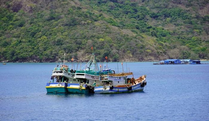 Tàu cá ngư dân neo ở vịnh Bến Đầm, Côn Đảo. (Ảnh: Lê Đình Thìn)