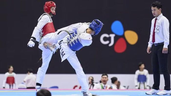 Đây là giải Taekwondo cấp quốc gia đầu tiên tại Việt Nam đạt chất lượng để có doanh nghiệp nước ngoài là Nhà tài trợ Danh xưng.