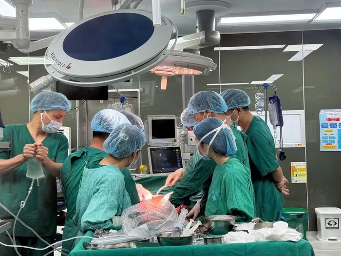 Các bác sĩ tập trung cao độ để lấy mô, tạng từ người hiến.