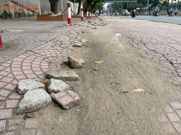 Nhiều đoạn gạch lát bị xô lệch, vỡ nát và để lộ nền đất bên dưới, tạo thành các vị trí chênh cao trên lối đi.