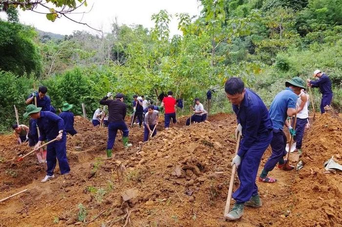 Lực lượng quy tập bền bỉ đào từng tấc đất để tìm kiếm từng dấu tích các liệt sĩ.