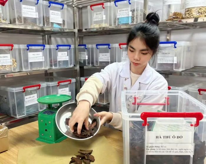 Sinh viên Trường CĐ Dược Hà Nội.