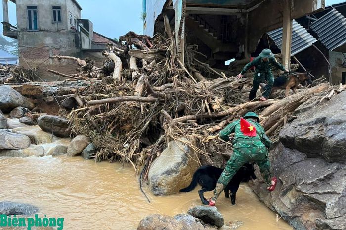 Cán bộ, huấn luyện viên và chó nghiệp vụ vượt qua địa hình ngổn ngang đất đá, cây gãy đổ để tiếp cận khu vực nghi có người bị vùi lấp. Ảnh: Văn Nghĩa