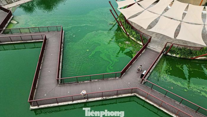 Nhiều khu vực mặt hồ xuất hiện các mảng nổi màu đen và xanh rêu. Theo ghi nhận, mùi khó chịu xuất hiện rõ hơn vào sáng sớm và chiều muộn, ảnh hưởng đến không gian công viên.