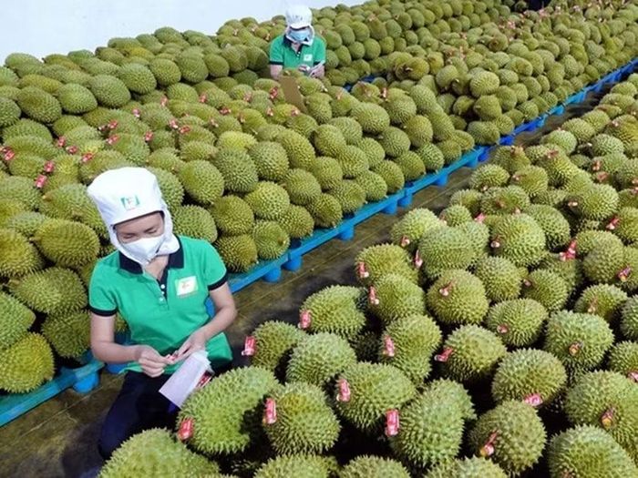 Theo chuyên gia, Trung Quốc hiện cũng không còn là thị trường "dễ tính" như trước.