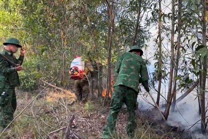 Lực lượng Đồn Biên phòng Cửa khẩu cảng Chân Mây kịp thời khống chế vụ cháy rừng ở xã Chân Mây - Lăng Cô.
