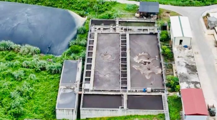 Trang trại chăn nuôi lợn của Công ty TNHH Dabaco Thanh Hóa