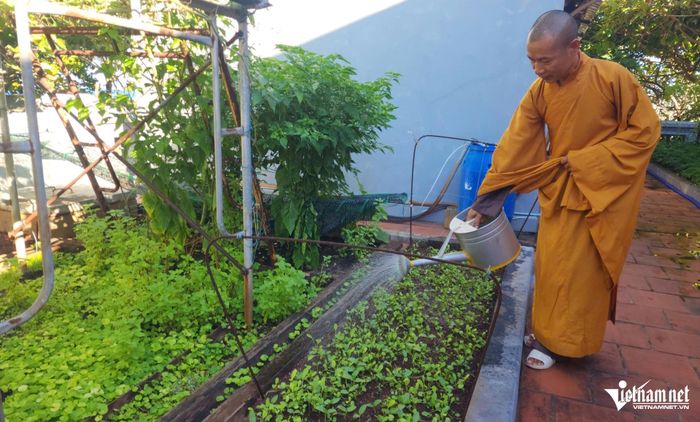 Đại đức Thích Quy Nghĩa chăm sóc những mầm xanh nơi đảo xa.