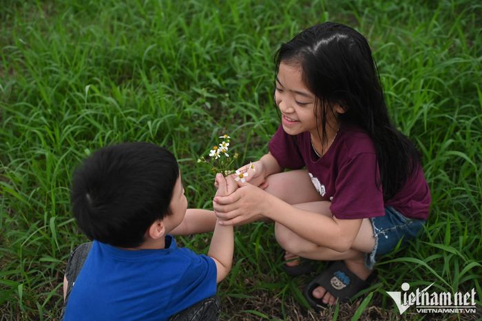 Đã có 5 địa phương đã ban hành chính sách khen thưởng, hỗ trợ nhằm khuyến khích sinh đủ hai con. Ảnh: Thạch Thảo