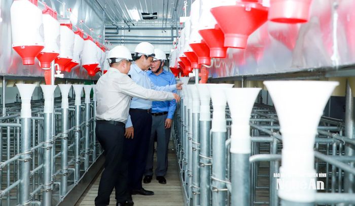 Dự án chăn nuôi lợn công nghệ cao của Công ty Cổ phần Nông nghiệp BAF Việt Nam được áp dụng nhiều công nghệ hiện đại nhằm đảm bảo môi trường. Ảnh: Thành Duy