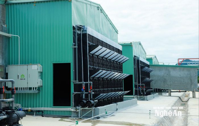 Chuồng nuôi tại dự án được đầu tư khép kín. Ảnh: Thành Duy