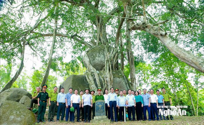 Chủ tịch UBND tỉnh Võ Trọng Hải và đoàn công tác chụp ảnh lưu niệm cùng lãnh đạo xã Giai Xuân và các lực lượng tại cây sanh di sản. Ảnh: Thành Duy