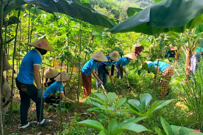 ...ra quân lao động chỉnh trang vườn hộ cho các gia đình người có công.