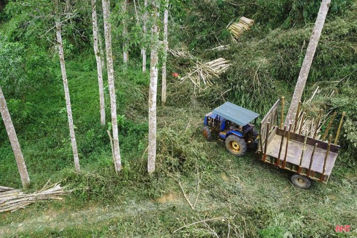 Theo đánh giá của chủ đầu tư, việc hình thành nhà máy không chỉ tạo thêm việc làm cho lao động địa phương mà còn góp phần xây dựng chuỗi liên kết giữa doanh nghiệp chế biến với vùng nguyên liệu rừng trồng, nâng cao giá trị phụ phẩm lâm nghiệp, thúc đẩy phát triển ngành công nghiệp chế biến gỗ theo hướng hiện đại, gia tăng giá trị xuất khẩu và phát triển kinh tế khu vực miền tây Hà Tĩnh.