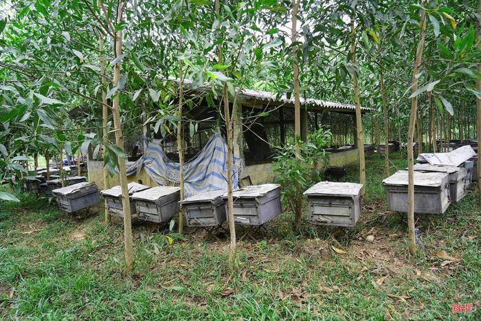 “Chúng tôi đồng thuận với chủ trương thu hút đầu tư, phát triển công nghiệp của địa phương. Tuy nhiên, mong muốn các cơ quan chức năng và chủ đầu tư sớm thông báo cụ thể về lộ trình giải phóng mặt bằng, thời gian bàn giao đất để bà con chủ động thu hoạch, tận thu cây trồng, lâm sản và sắp xếp hoạt động sản xuất, hạn chế thiệt hại về kinh tế”, ông Nguyễn Mạnh Hùng - hộ dân có diện tích bồi thường lớn nhất (16.543 m²) cho biết.