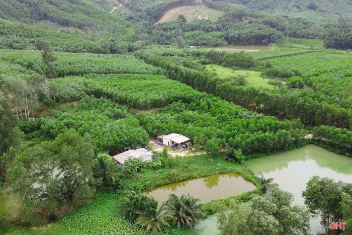 Nhà máy được thiết kế với công suất 200.000 tấn viên nén sinh khối mỗi năm và 40.000 tấn sản phẩm phụ lâm nghiệp, hướng tới cung cấp cho thị trường trong nước và xuất khẩu. Nguồn nguyên liệu chủ yếu là gỗ rừng trồng, phụ phẩm lâm nghiệp được thu mua tại các xã Sơn Kim 1, Sơn Kim 2, Sơn Hồng cùng một số địa phương giáp ranh tỉnh Nghệ An, hình thành vùng nguyên liệu ổn định phục vụ sản xuất lâu dài.