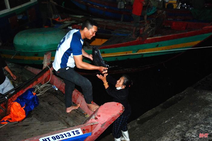 Từ đầu năm đến nay, sản lượng khai thác hải sản toàn xã Lộc Hà ước đạt khoảng 1.700 tấn