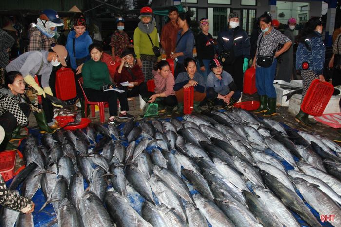 Những loại hải sản tươi ngon, có giá trị cao được ngư dân Hà Tĩnh đánh bắt về bày bán ở chợ đầu mối hải sản Thạch Kim (xã Lộc Hà).