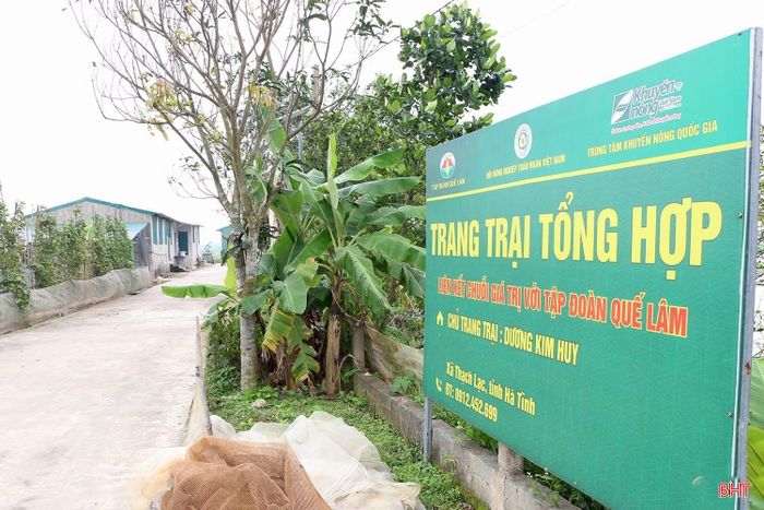 Xã Thạch Lạc ưu tiên phát triển nông nghiệp hữu cơ, sinh thái, tuần hoàn.