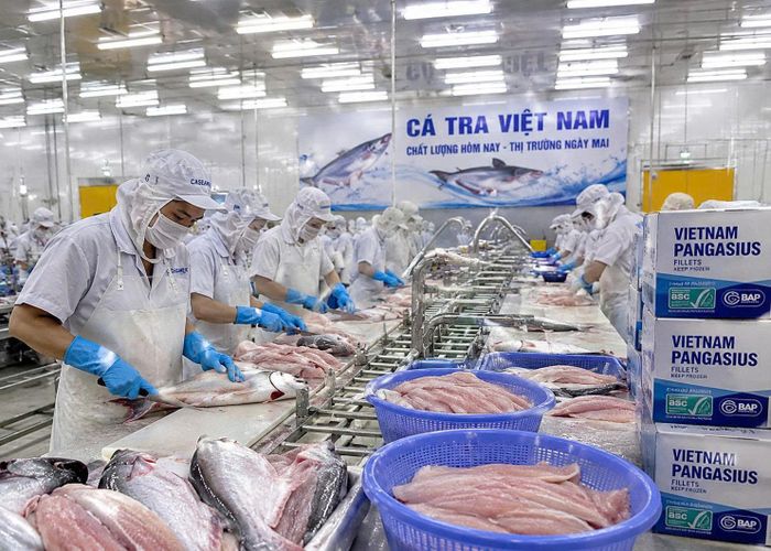Công ty chế biến Nông sản Xanh đã ứng dụng công nghệ trong sản xuất để nâng cao năng suất lao động.