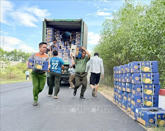 Khẩn trương bốc dỡ sầu riêng trên xe container bị cháy. Ảnh: TTXVN phát