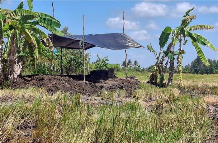 Vị trí phát hiện hài cốt nữ du kích Nguyễn Thị Út tại kênh Bờ Xoài, xã Trường Long Tây, thành phố Cần Thơ. Ảnh: TTXVN phát