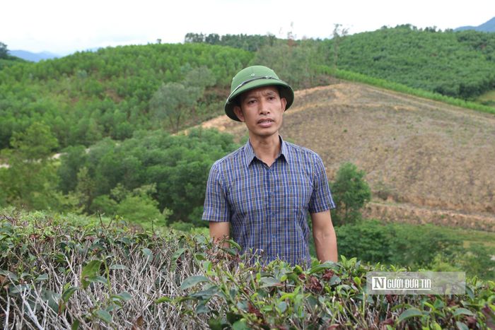 Ông Nguyễn Đức Thắng, Chuyên viên phòng kinh tế xã Hoa Quân cho biết chính quyền địa phương lên phương án để hỗ trợ người dân. 