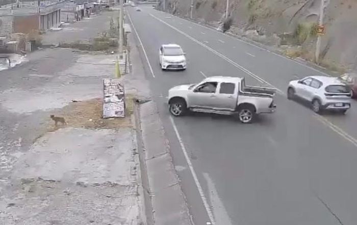 Chiếc xe bán tải mất lái lao khỏi đường. Ảnh cắt từ clip/We News