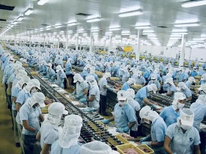 Xuất khẩu thủy sản 6 tháng đầu năm tạo đà cho mục tiêu tăng trưởng của cả năm.