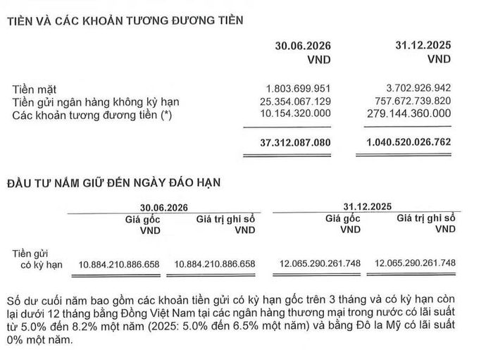 Nguồn: Thuyết minh BCTC Hóa chất Đức Giang.