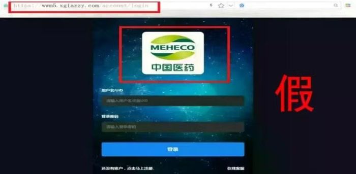 Website giả danh Tập đoàn Y dược Trung Quốc. Ảnh: Sohu.