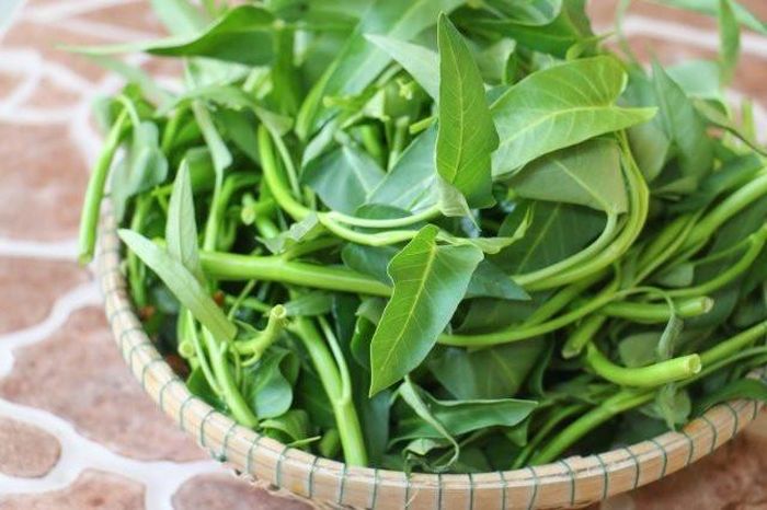 Rau muống thường được cắt lúc sáng sớm để giữ độ tươi xanh.