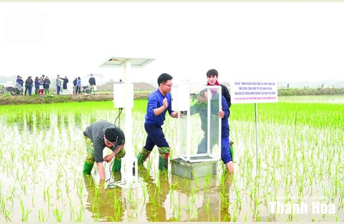 Theo dõi, giám sát mực nước trên đồng ruộng