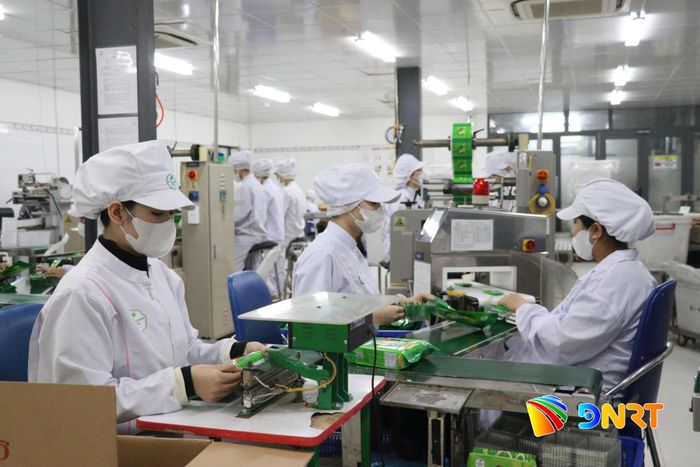 Đổi mới công nghệ và xây dựng câu chuyện thương hiệu là chìa khóa để sản phẩm Đà Nẵng tham gia chuỗi giá trị toàn cầu. TRONG ẢNH: Hoạt động sản xuất tại Công ty TNHH Mỹ Phương Food, phường Hòa Khánh. Ảnh: HỮU ANH