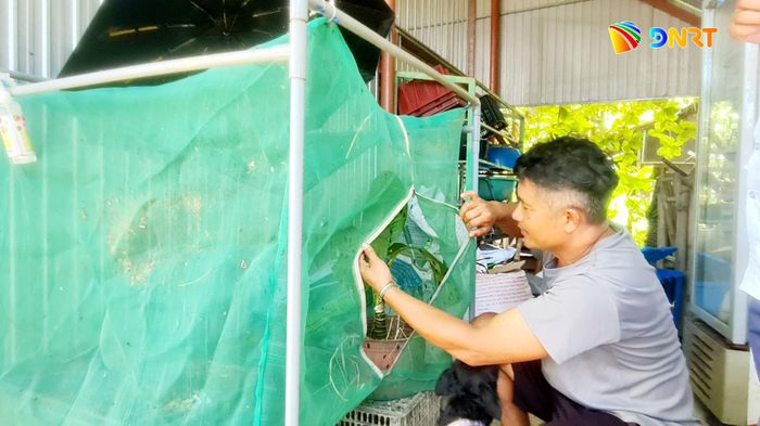 Mô hình nuôi sâu canxi của ông Nguyễn Văn Hùng (thôn Vân Dương 1, xã Hòa Vang). Ảnh: HOÀNG LIÊN