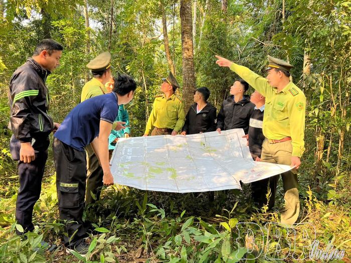 Lực lượng kiểm lâm Nậm Pồ cùng các lực lượng kiểm tra hiện trạng diện tích rừng trên địa bàn quản lý.