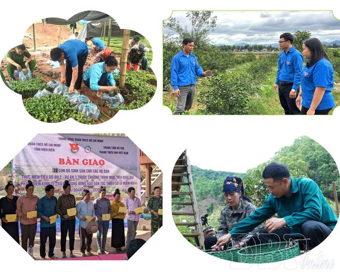 Sự đồng hành, hỗ trợ của các cấp bộ Đoàn giúp ĐVTN phát triển kinh tế ổn định.