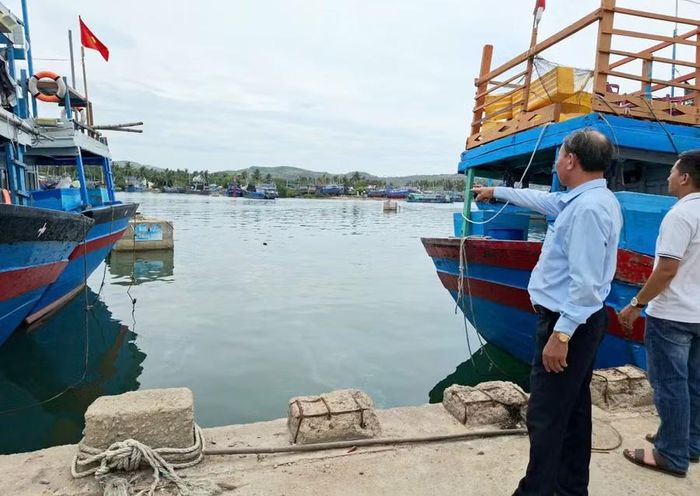 Một số trụ neo tại khu neo đậu tránh trú bão Cảng cá Tam Quan xuống cấp, tiềm ẩn nguy cơ mất an toàn cho tàu cá khi vào tránh trú. Ảnh: N.T