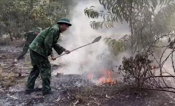 Cán bộ chiến sĩ Đồn Biên phòng cửa khẩu cảng Chân Mây, Ban Chỉ huy Bộ đội Biên phòng thành phố Huế phối hợp với chính quyền địa phương kịp thời khống chế vụ cháy rừng tại xã Chân Mây - Lăng Cô. Ảnh: TTXVN