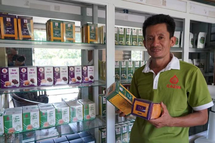  Đến nay, tỉnh đã hỗ trợ 19 tổ chức, DN, HTX xây dựng hệ thống truy xuất nguồn gốc cho 14 nhóm sản phẩm trên Cổng thông tin truy xuất nguồn gốc quốc gia, trong đó có sản phẩm trà dung Cazin (xã Canh Vinh). Ảnh: T.L 