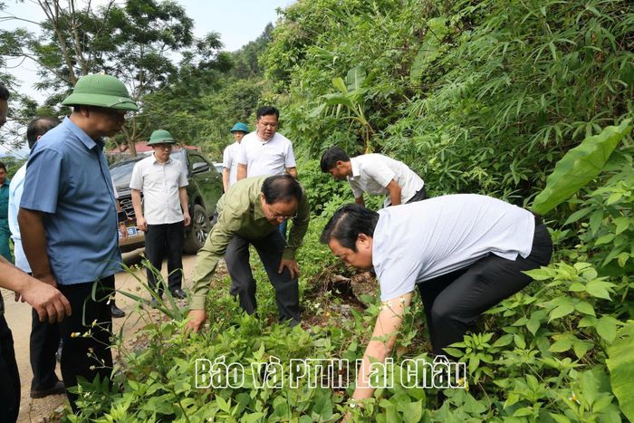 Đồng chí Lê Minh Ngân - Bí thư Tỉnh ủy, Chủ tịch HĐND tỉnh cùng đoàn công tác kiểm tra khu vực có nguy cơ sạt lở tại bản Tả Phìn, xã Phong Thổ.