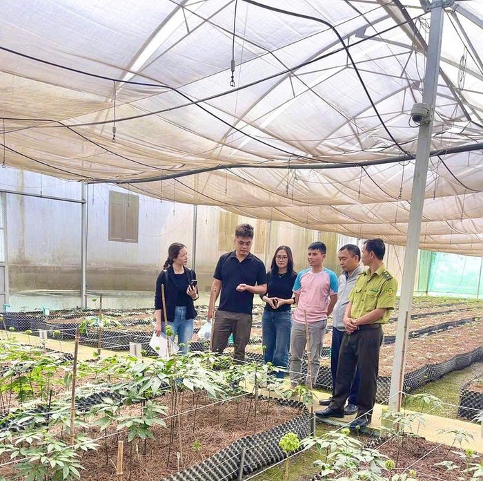 Đoàn khảo sát tại vườn sâm Thái Minh.